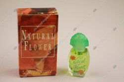 G.D.M NATURAL FLOWER