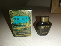 DELON ALAIN IQUITOS