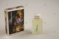 DENIS RP BLUMARINE