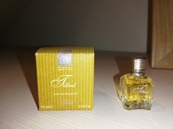 ORSAY TILLEUL
