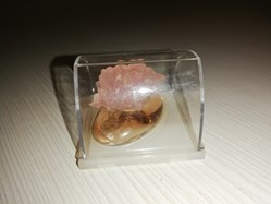 MICYS PUPA ROSE