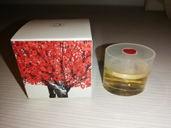 CLARINS PAR AMOUR