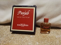 CAPUCCI PUNJAB