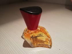 SABATINI GABRIELA MAGNETIC