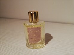 LE GALION LAVANDE