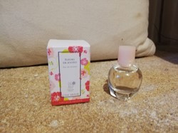 DERROISNE ISABELLE FLEURS DE KYOTO