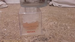 MICYS PUPA ORANGE TROPICAL