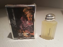 DENIS RP BLUMARINE
