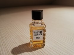 CHARLES V FAUSSE AUDACE