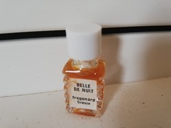 FRAGONARD BELLE DE NUIT