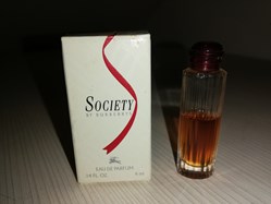 BURBERRY SOCIETY