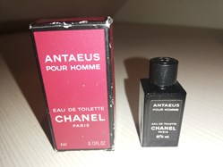 CHANEL ANTAEUS
