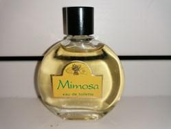 VITTORI JEAN MIMOSA