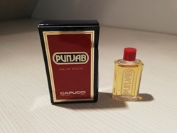 CAPUCCI PUNJAB