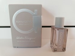 FERRAGAMO SALVATORE BRIGHT LEATHER