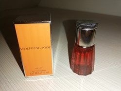 JOOP WOLFGANG
