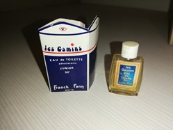 FANN FRANCK LES GAMINS