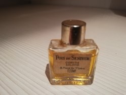 SALOME CORYSE POIS DE SENTEUR