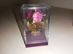 RIACHI PRESTIGE