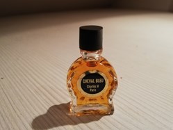 CHARLES V CHEVAL BLEU