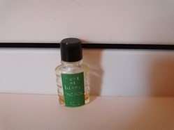 CARVEN VERT ET BLANC