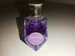 LESOURD VIOLETTE
