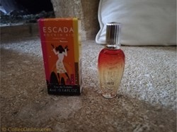 ESCADA ROCK IN RIO