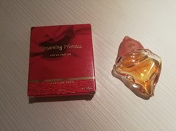 SUCCES DE PARIS DREAMING PRINCESS