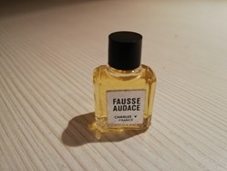 CHARLES V FAUSSE AUDACE
