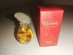 ROCHER YVES CANTATE
