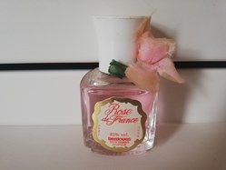 BERDOUES ROSE DE fRANCE