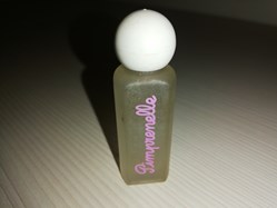 COMPAGNIE EUROPEENNE DES PARFUMS PIMPRENELLE