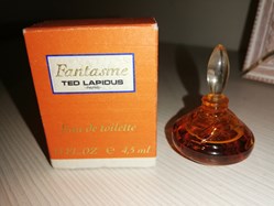 LAPIDUS TED FANTASME