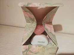 ROCHER YVES PIVOINE