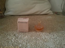 FORTUNE DUCK CINDERELLA