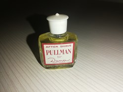 DANA PULLMAN