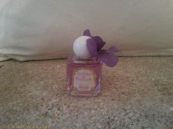 BERDOUES VIOLETTES DE TOULOUSE