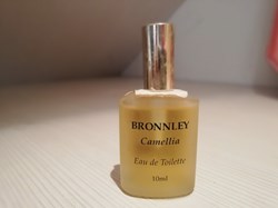 BRONNLEY CAMELLIA