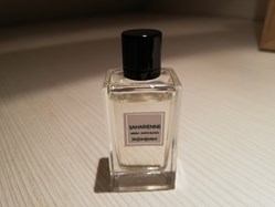 SAINT LAURENT SAHARIENNE