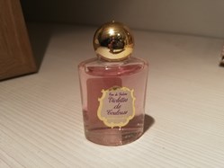 BERDOUES VIOLETTES DE TOULOUSE