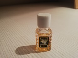 FRAGONARD MOMENT VOLE