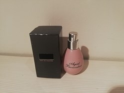 AGENT PROVOCATEUR