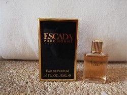 ESCADA POUR HOMME