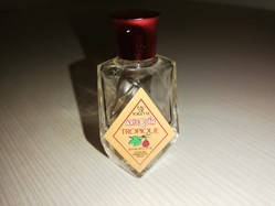 LESOURD ARLEQUIN TROPIQUE