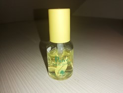 ROCHER YVES POIRE
