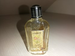 FIGENE FOUGERE