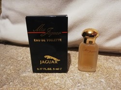 JAGUAR MISS