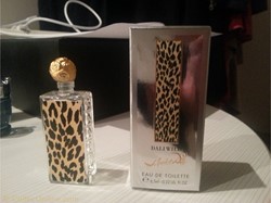 DALI SALVADORE WILD