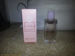 ROCHER YVES EVIDENCE