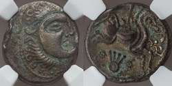 Stater Jersey Moon Head type